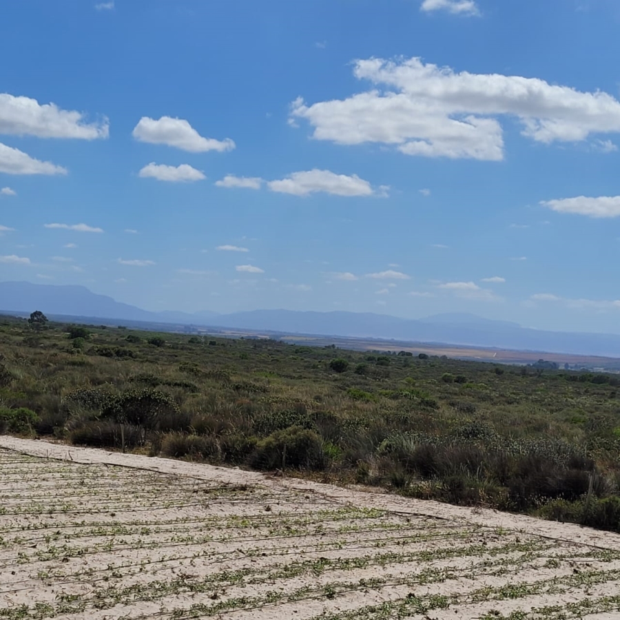 To Let 3 Bedroom Property for Rent in Hartebeesfontein Western Cape
